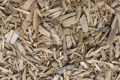biomass boilers Young Wood